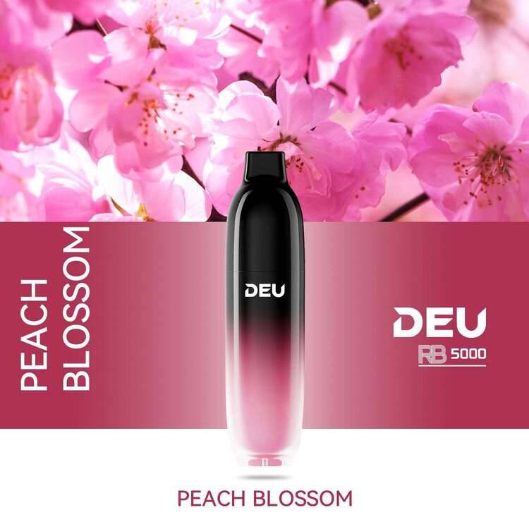 DEU RB5000 - 5000Puffs Disposable Vape